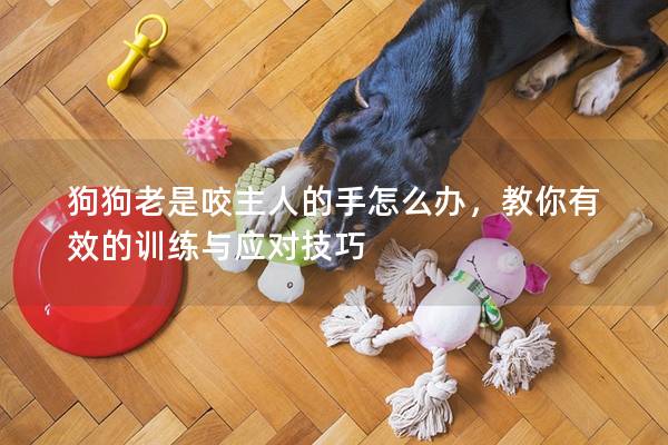 狗狗老是咬主人的手怎么辦，教你有效的訓(xùn)練與應(yīng)對(duì)技巧