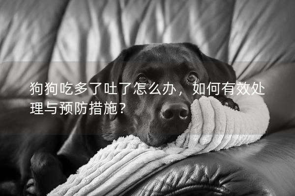 狗狗吃多了吐了怎么辦,如何有效處理與預防措施? 狗狗吃多了吐了怎么辦,如何有效處理與預防措施?