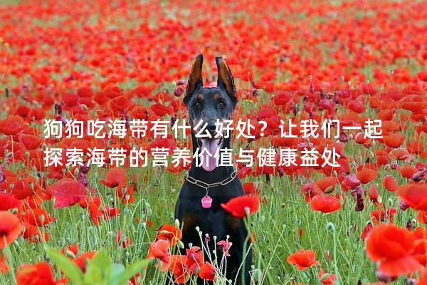 狗狗吃海帶有什么好處?讓我們一起探索海帶的營養價值與健康益處 狗狗吃海帶有什么好處?讓我們一起探索海帶的營養價值與健康益處