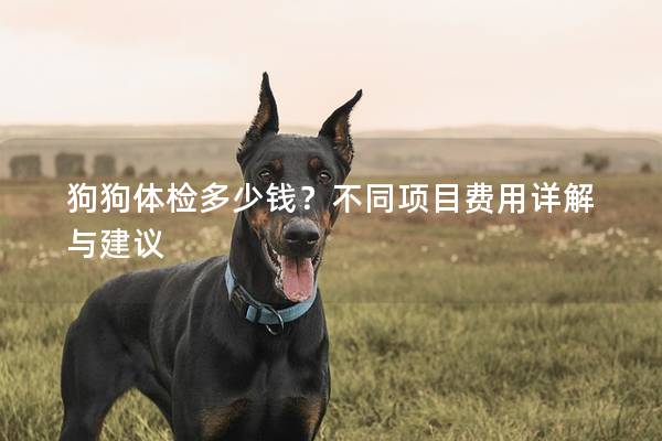 狗狗體檢多少錢?不同項目費用詳解與建議 狗狗體檢多少錢?不同項目費用詳解與建議