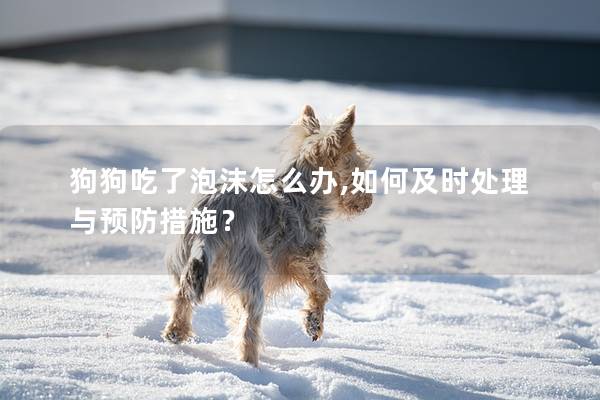 狗狗吃了泡沫怎么辦,如何及時處理與預防措施？