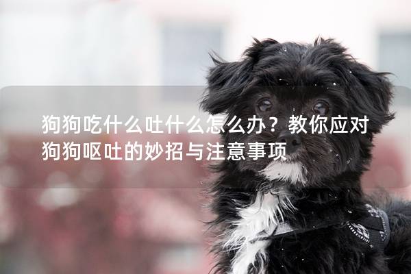狗狗吃什么吐什么怎么辦？教你應對狗狗嘔吐的妙招與注意事項