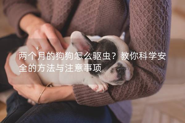 兩個月的狗狗怎么驅(qū)蟲？教你科學(xué)安全的方法與注意事項