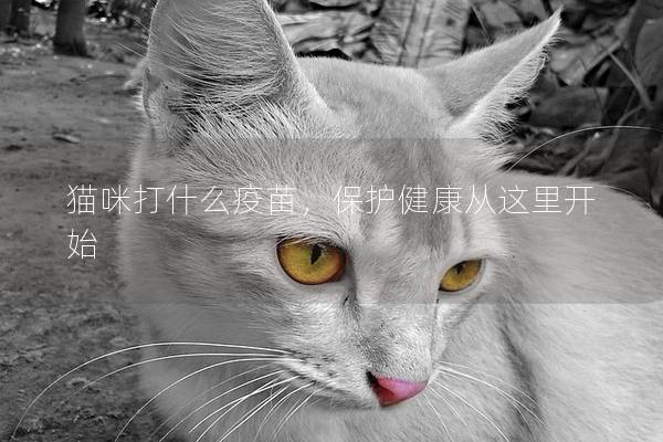 貓咪打什么疫苗，保護(hù)健康從這里開始