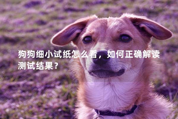狗狗細小試紙怎么看，如何正確解讀測試結(jié)果？