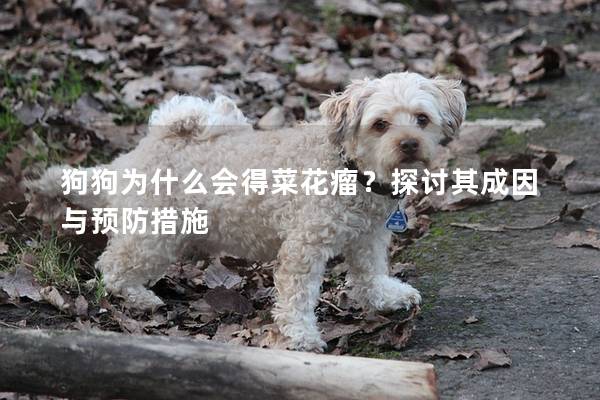 狗狗為什么會(huì)得菜花瘤？探討其成因與預(yù)防措施