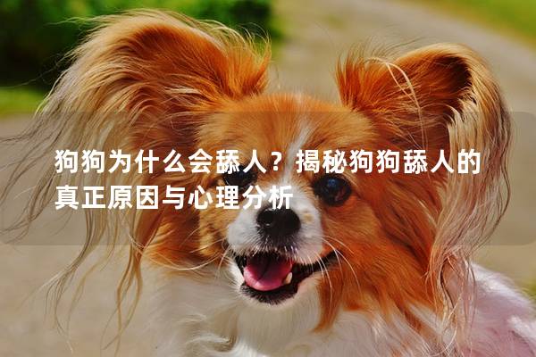 狗狗為什么會(huì)舔人？揭秘狗狗舔人的真正原因與心理分析