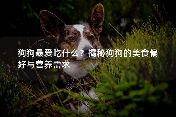 狗狗最愛吃什么？揭秘狗狗的美食偏好與營養需求