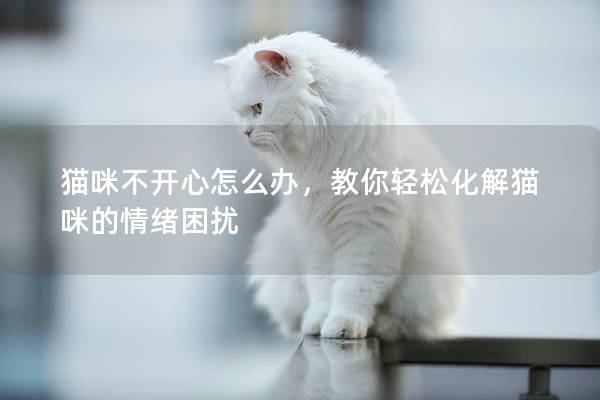 貓咪不開(kāi)心怎么辦，教你輕松化解貓咪的情緒困擾