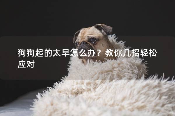 狗狗起的太早怎么辦?教你幾招輕松應對 狗狗起的太早怎么辦?教你幾招輕松應對