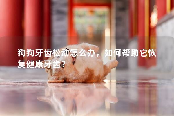 狗狗牙齒松動怎么辦，如何幫助它恢復健康牙齒？