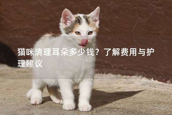 貓咪清理耳朵多少錢？了解費用與護理建議