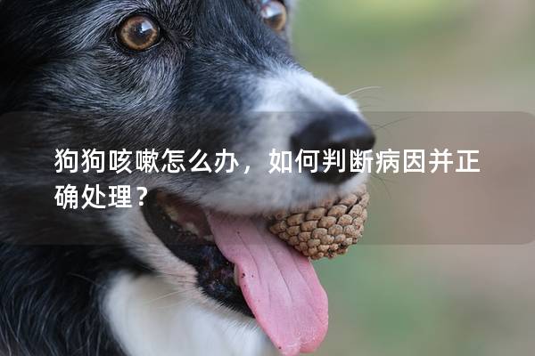 狗狗咳嗽怎么辦，如何判斷病因并正確處理？