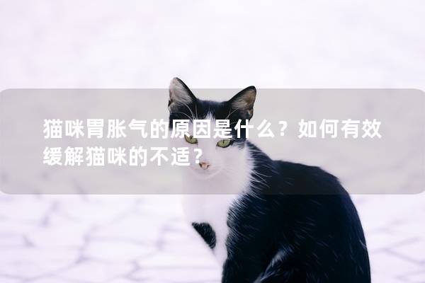 貓咪胃脹氣的原因是什么？如何有效緩解貓咪的不適？