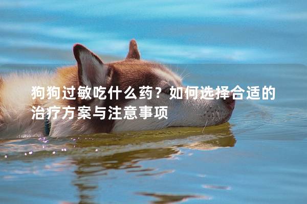狗狗過敏吃什么藥？如何選擇合適的治療方案與注意事項
