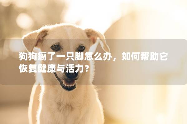 狗狗瘸了一只腳怎么辦，如何幫助它恢復健康與活力？