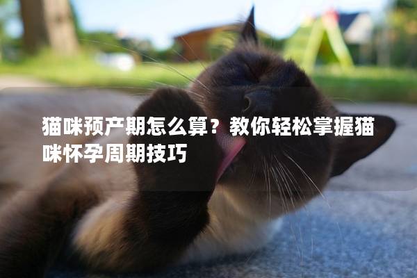 貓咪預(yù)產(chǎn)期怎么算？教你輕松掌握貓咪懷孕周期技巧