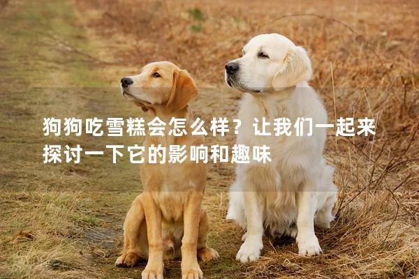 狗狗吃雪糕會怎么樣？讓我們一起來探討一下它的影響和趣味