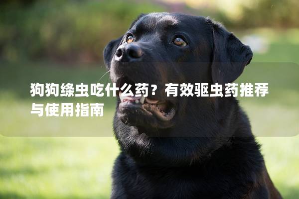 狗狗絳蟲吃什么藥？有效驅蟲藥推薦與使用指南