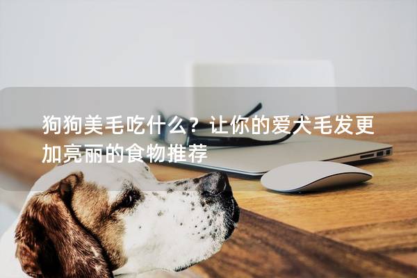 狗狗美毛吃什么？讓你的愛犬毛發更加亮麗的食物推薦
