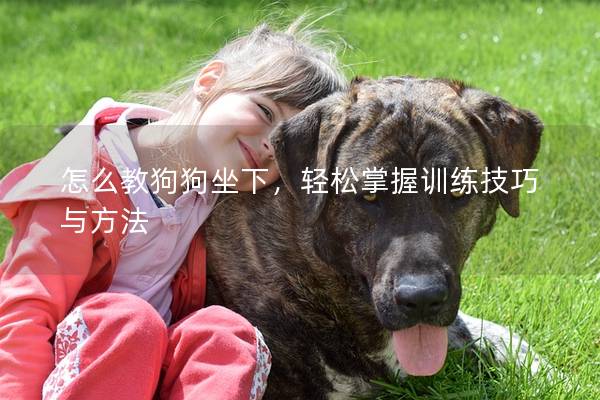 怎么教狗狗坐下,輕松掌握訓(xùn)練技巧與方法 怎么教狗狗坐下,輕松掌握訓(xùn)練技巧與方法