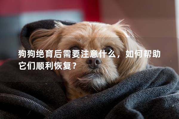 狗狗絕育后需要注意什么，如何幫助它們順利恢復？