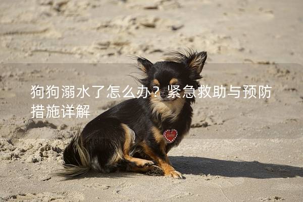 狗狗溺水了怎么辦？緊急救助與預防措施詳解