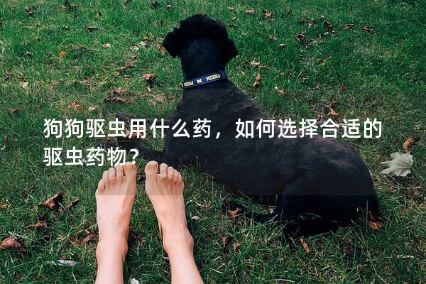 狗狗驅(qū)蟲用什么藥，如何選擇合適的驅(qū)蟲藥物？