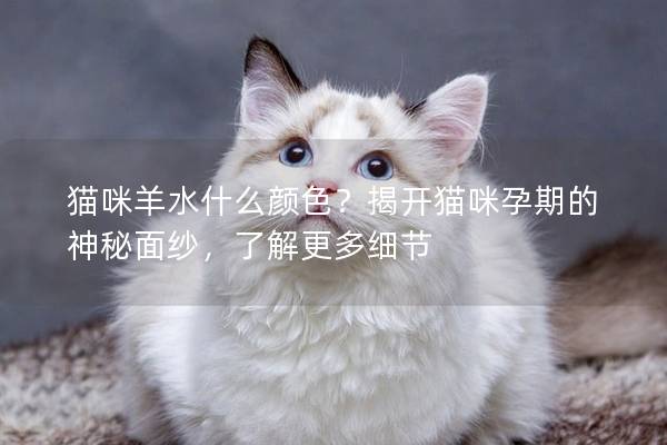 貓咪羊水什么顏色？揭開貓咪孕期的神秘面紗，了解更多細節