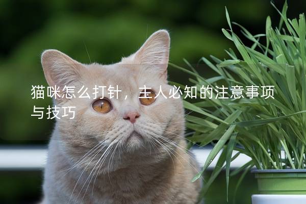 貓咪怎么打針，主人必知的注意事項與技巧