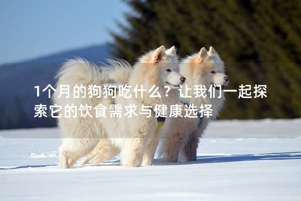 1個月的狗狗吃什么？讓我們一起探索它的飲食需求與健康選擇
