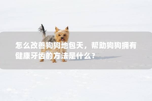 怎么改善狗狗地包天，幫助狗狗擁有健康牙齒的方法是什么？