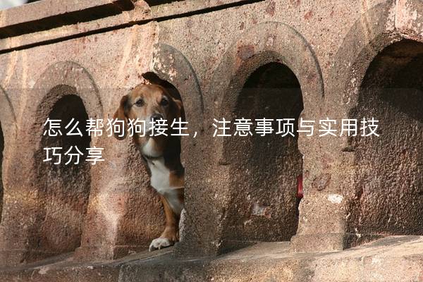 怎么幫狗狗接生，注意事項(xiàng)與實(shí)用技巧分享