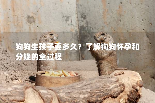 狗狗生孩子要多久？了解狗狗懷孕和分娩的全過(guò)程