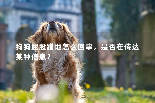狗狗屁股蹭地怎么回事，是否在傳達(dá)某種信息？