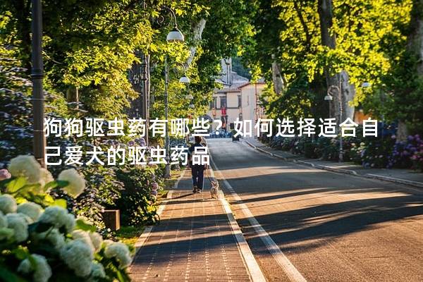 狗狗驅(qū)蟲藥有哪些？如何選擇適合自己愛犬的驅(qū)蟲藥品