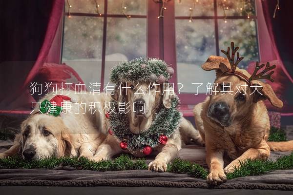 狗狗打血清有什么作用？了解其對(duì)犬只健康的積極影響