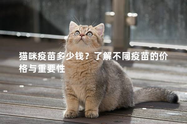 貓咪疫苗多少錢？了解不同疫苗的價格與重要性