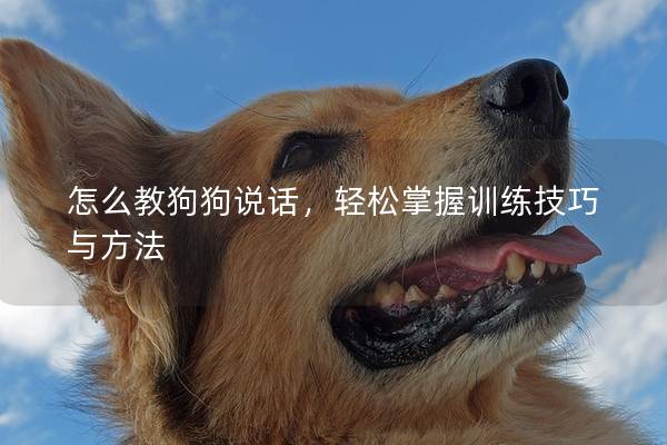 怎么教狗狗說話，輕松掌握訓練技巧與方法