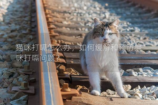 貓咪打嗝怎么辦，如何緩解和預防貓咪打嗝問題？