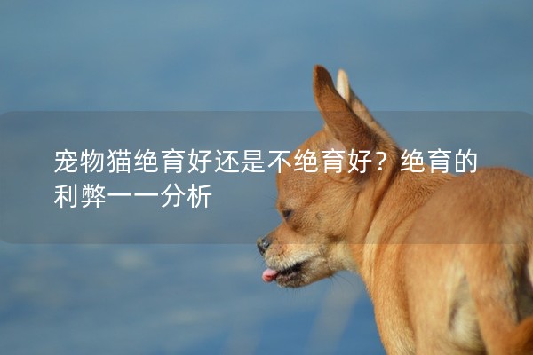 寵物貓絕育好還是不絕育好？絕育的利弊一一分析