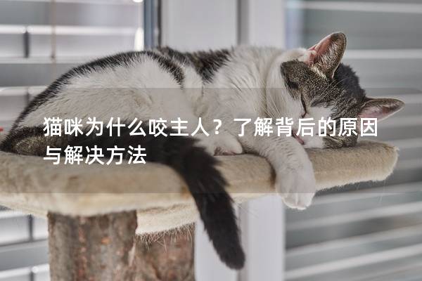 貓咪為什么咬主人？了解背后的原因與解決方法