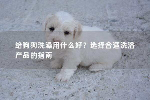 給狗狗洗澡用什么好？選擇合適洗浴產品的指南