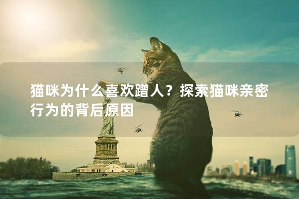 貓咪為什么喜歡蹭人？探索貓咪親密行為的背后原因