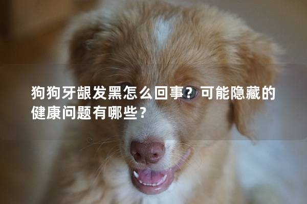 狗狗牙齦發黑怎么回事?可能隱藏的健康問題有哪些? 狗狗牙齦發黑怎么回事?可能隱藏的健康問題有哪些?