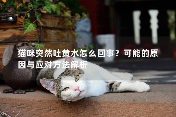 貓咪突然吐黃水怎么回事？可能的原因與應對方法解析