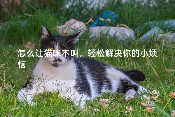 怎么讓貓咪不叫，輕松解決你的小煩惱