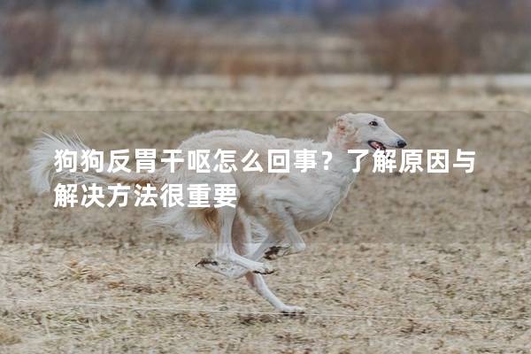 狗狗反胃干嘔怎么回事？了解原因與解決方法很重要