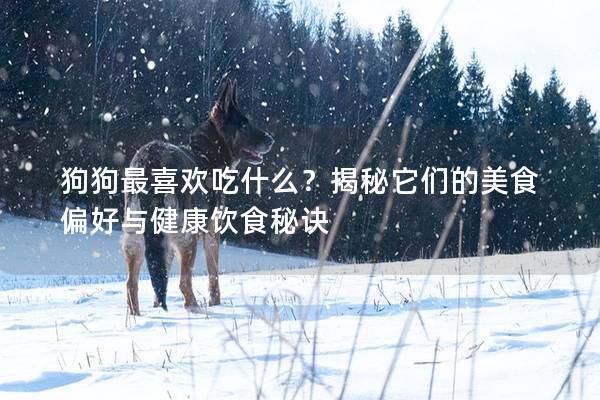 狗狗最喜歡吃什么?揭秘它們的美食偏好與健康飲食秘訣 狗狗最喜歡吃什么?揭秘它們的美食偏好與健康飲食秘訣