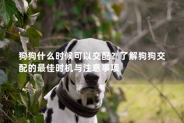 狗狗什么時(shí)候可以交配？了解狗狗交配的最佳時(shí)機(jī)與注意事項(xiàng)
